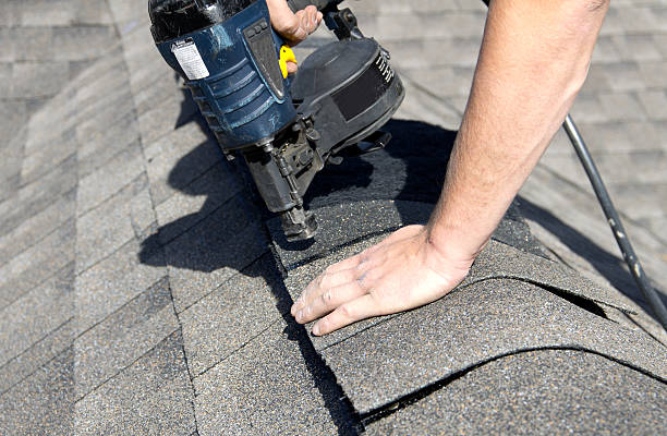 Best Roof Moss and Algae Removal  in Girard, PA
